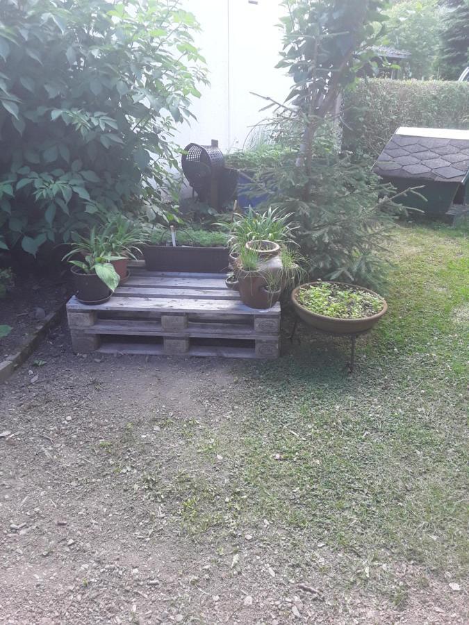 Haus Jahn Διαμέρισμα Rohrbach  Εξωτερικό φωτογραφία